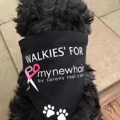 Charity Dog Walkies with mynewhair